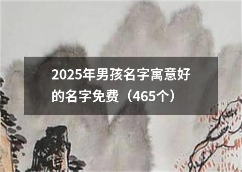 2025年男孩名字寓意好的名字免费(465个)