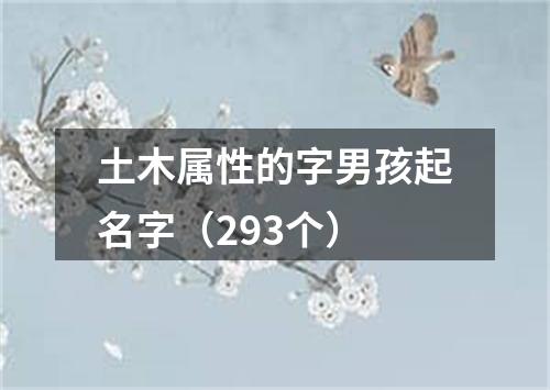 土木属性的字男孩起名字(293个)