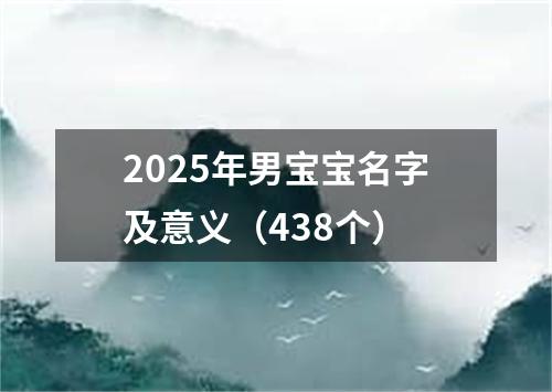 2025年男宝宝名字及意义（438个）