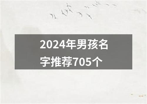 2024年男孩名字推荐705个