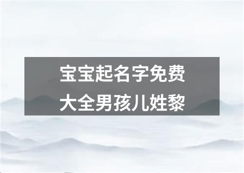 宝宝起名字免费大全男孩儿姓黎