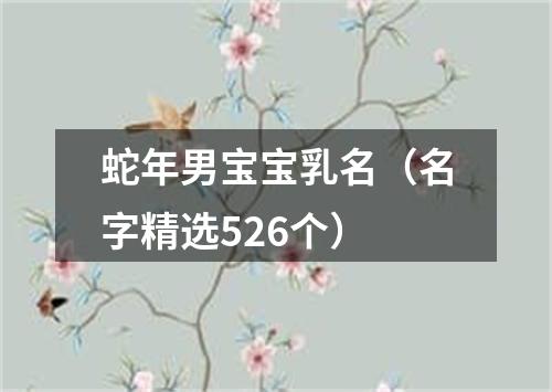 蛇年男宝宝乳名（名字精选526个）