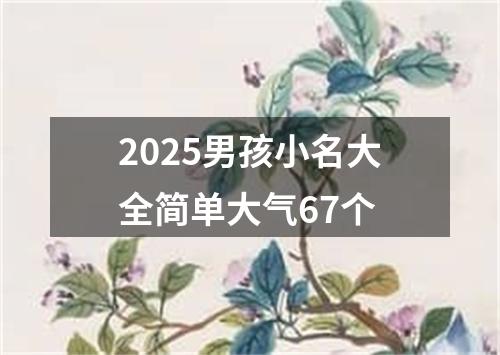 2025男孩小名大全简单大气67个