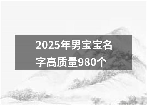 2025年男宝宝名字高质量980个