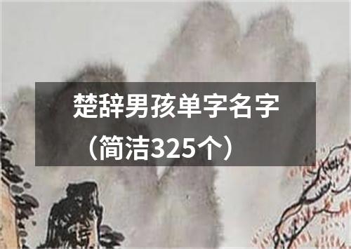 楚辞男孩单字名字(简洁325个)