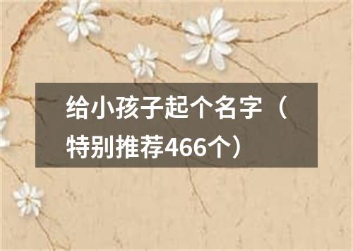 给小孩子起个名字（特别推荐466个）