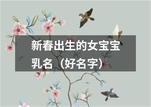 新春出生的女宝宝乳名（好名字）