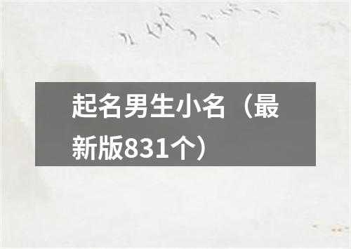 起名男生小名（最新版831个）