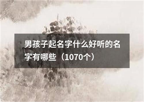 男孩子起名字什么好听的名字有哪些（1070个）