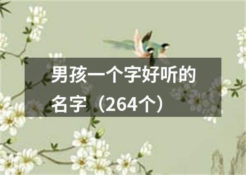 男孩一个字好听的名字（264个）