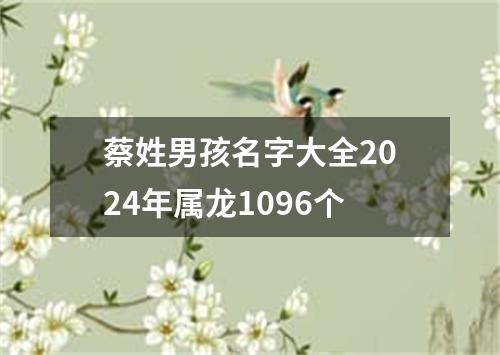 蔡姓男孩名字大全2024年属龙1096个