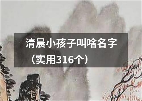 清晨小孩子叫啥名字（实用316个）