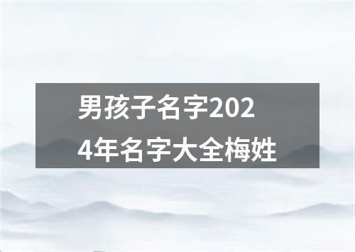 男孩子名字2024年名字大全梅姓