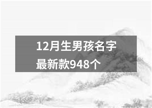 12月生男孩名字最新款948个