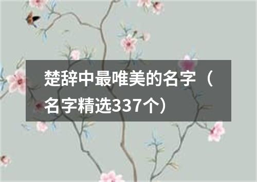 楚辞中最唯美的名字(名字精选337个)