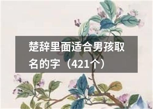 楚辞里面适合男孩取名的字(421个)
