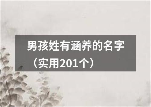 男孩姓有涵养的名字（实用201个）