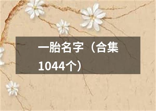 一胎名字(合集1044个)