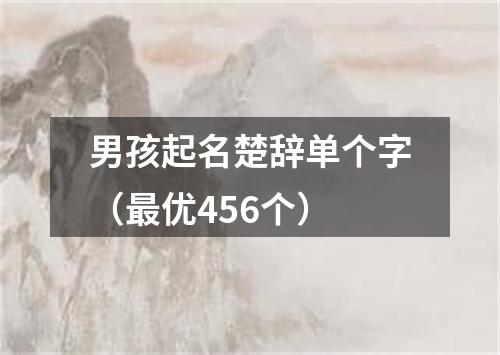 男孩起名楚辞单个字（最优456个）