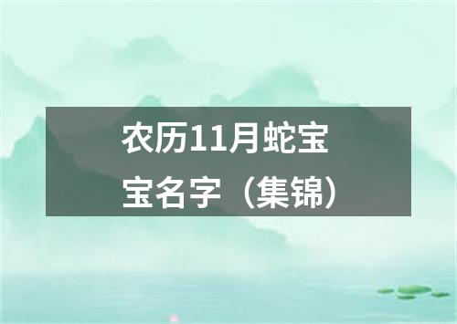 农历11月蛇宝宝名字(集锦)