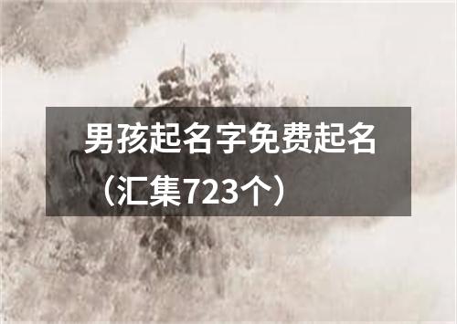 男孩起名字免费起名(汇集723个)