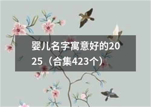 婴儿名字寓意好的2025（合集423个）