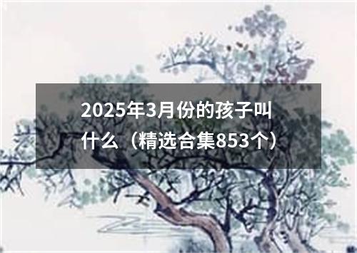 2025年3月份的孩子叫什么(精选合集853个)
