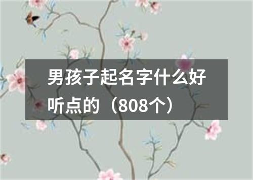 男孩子起名字什么好听点的（808个）