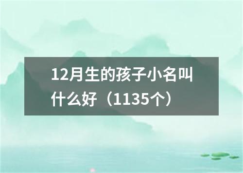 12月生的孩子小名叫什么好(1135个)