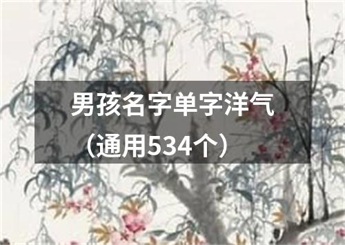 男孩名字单字洋气（通用534个）