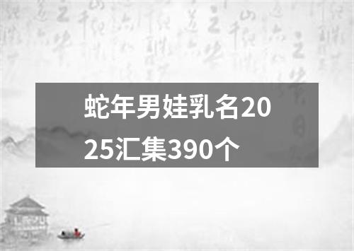 蛇年男娃乳名2025汇集390个