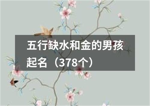 五行缺水和金的男孩起名(378个)