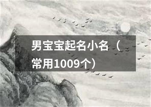 男宝宝起名小名（常用1009个）