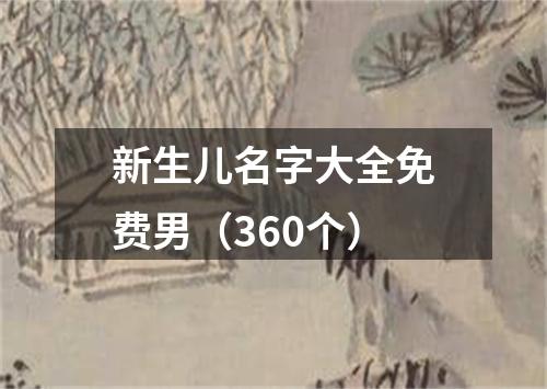 新生儿名字大全免费男(360个)