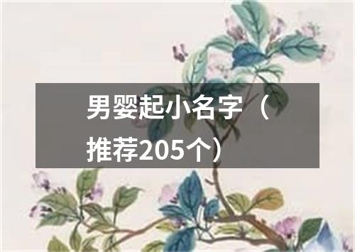 男婴起小名字(推荐205个)