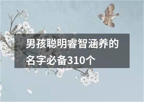 男孩聪明睿智涵养的名字必备310个
