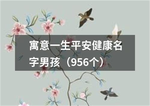 寓意一生平安健康名字男孩(956个)