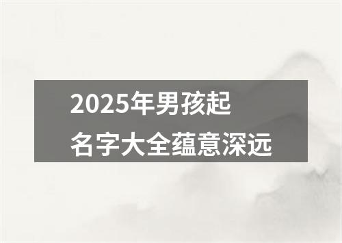 2025年男孩起名字大全蕴意深远