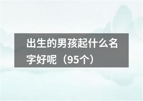 出生的男孩起什么名字好呢（95个）