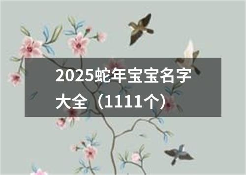 2025蛇年宝宝名字大全(1111个)
