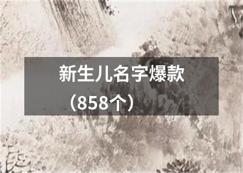 新生儿名字爆款（858个）