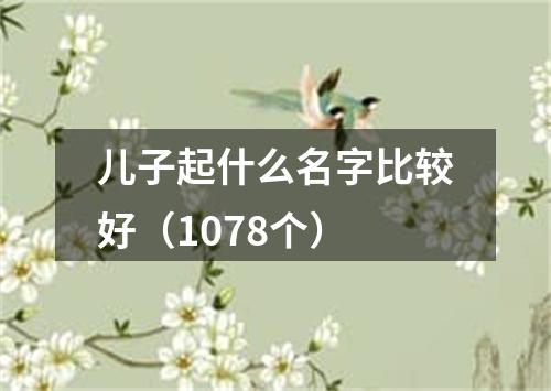 儿子起什么名字比较好(1078个)