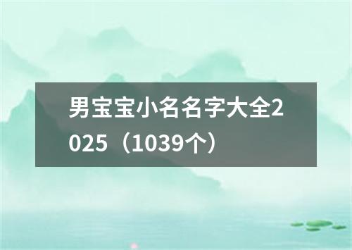 男宝宝小名名字大全2025(1039个)