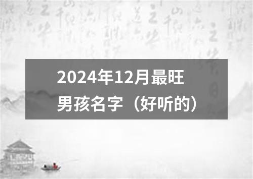2024年12月最旺男孩名字(好听的)