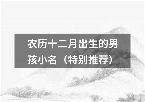 农历十二月出生的男孩小名(特别推荐)