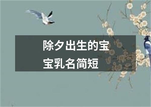 除夕出生的宝宝乳名简短