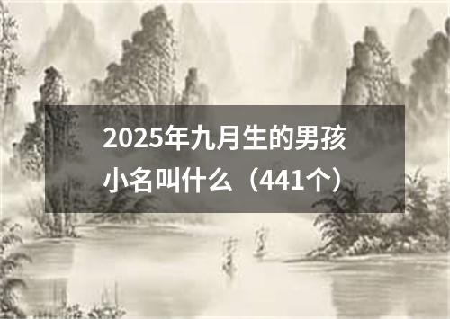 2025年九月生的男孩小名叫什么(441个)