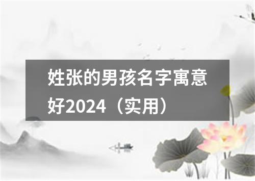 姓张的男孩名字寓意好2024(实用)