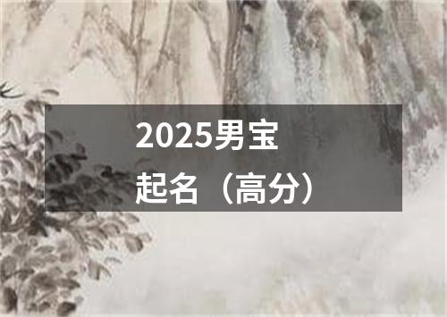 2025男宝起名(高分)