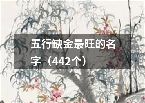 五行缺金最旺的名字(442个)